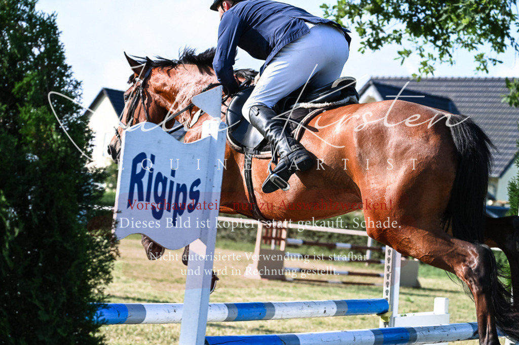 DSC_7427 | Pferde- und Turnierfotografie in Westsachsen. Pferdeportraits, Auftragszeichnungen und intuitive Kunst.
