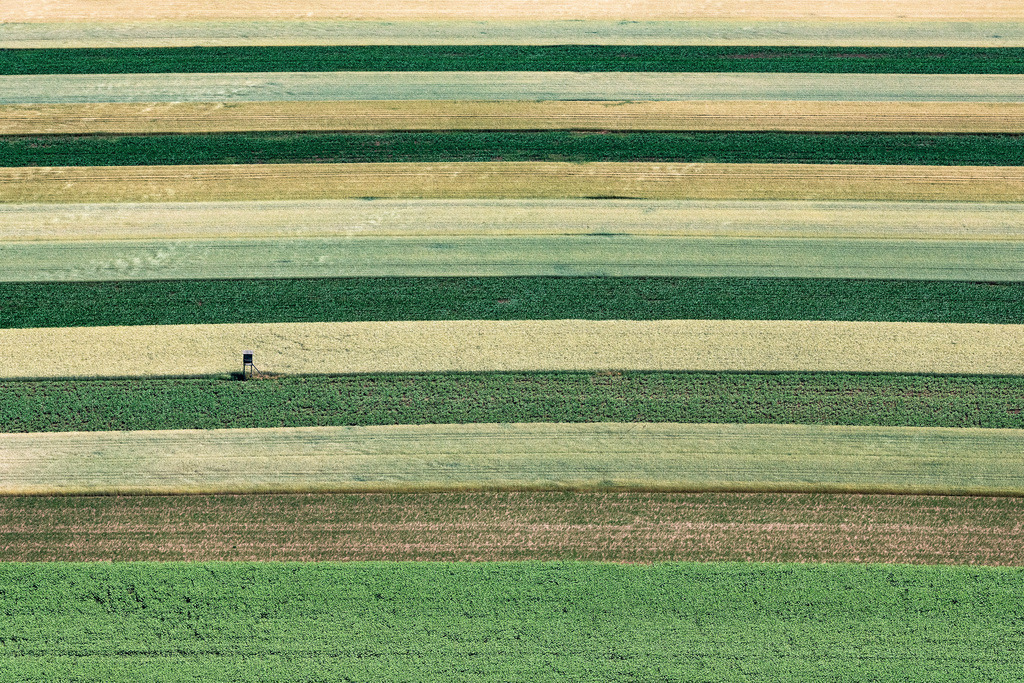 dr__0025201.jpg | SCHWECHAT 24.06.2019 Strukturen auf landwirtschaftlichen Feldern in Schwechat in Niederösterreich, Österreich. // Structures on agricultural fields in Schwechat in Lower Austria, Austria. Foto: Daniel Reiter