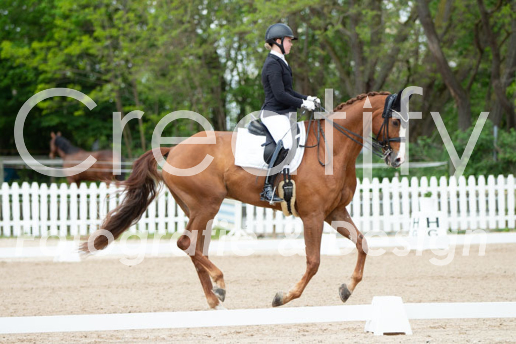 IMG_6219 | Creatify Fotografie