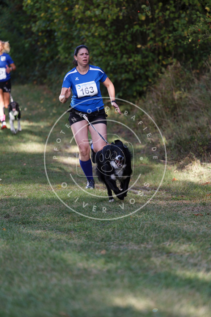 0L8A5263 | Hundefotografie, Tierfotograf, Pfotenfotografie, Fotoshooting Hund, Hunde Portrait, Hundesport, Hundeportraits, Heideshooting, Hunde, Sportfotograf, Hundefotograf, Turnierhundsport, THS,  - Realisiert mit Pictrs.com