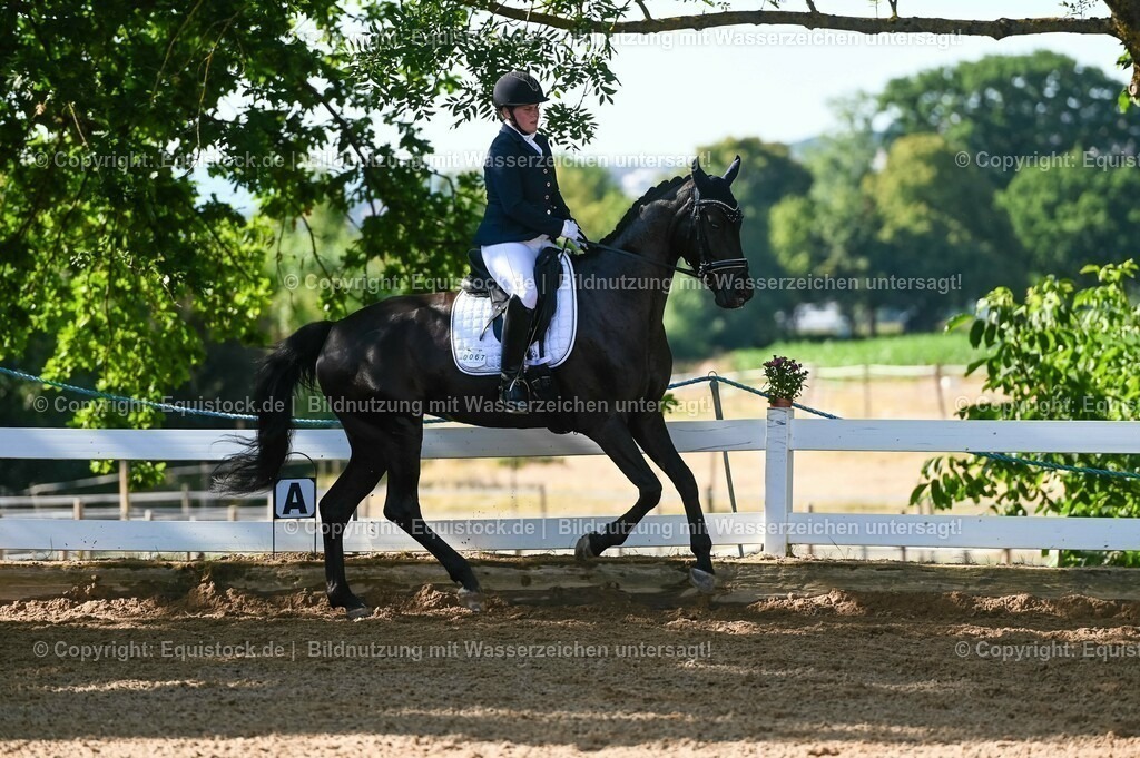 20230715_06_Dressurpferdeprfg. Kl.A_0174 | equistock