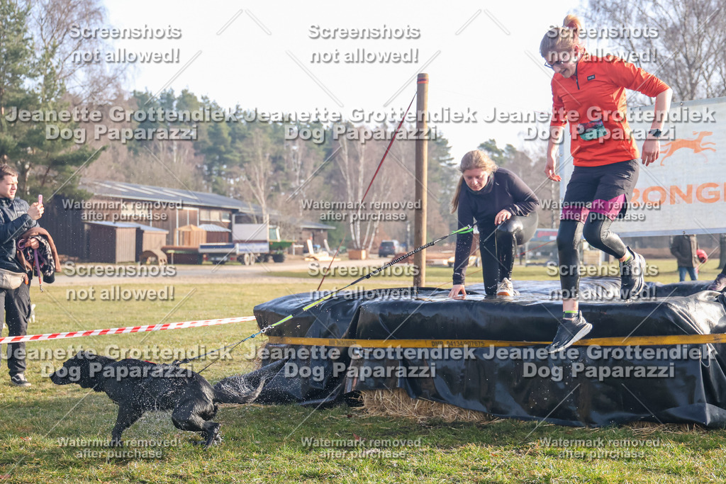 Dog Paparazzi - Strongdog North Mrz26-23 | Dog Paparazzi Jeanette Grottendiek Fotografie & Videografie - Realisiert mit Pictrs.com