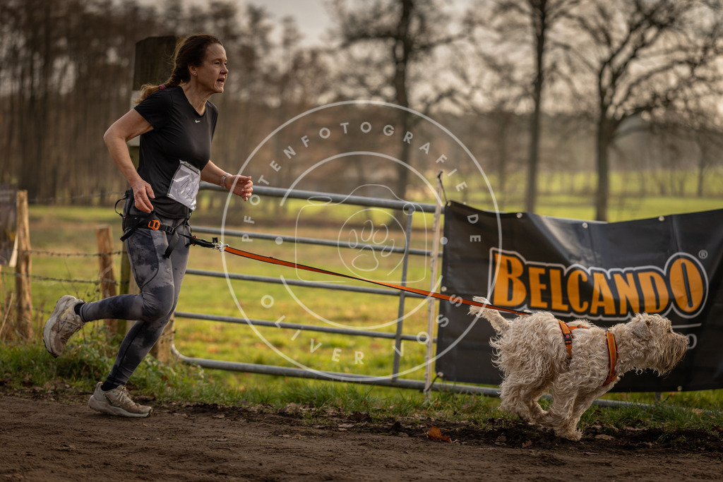 Pfotenfotografie_DV3A5608 | Hundefotografie, Tierfotograf, Pfotenfotografie, Fotoshooting Hund, Hunde Portrait, Hundesport, Hundeportraits, Heideshooting, Hunde, Sportfotograf, Hundefotograf, Turnierhundsport, THS,  - Realisiert mit Pictrs.com