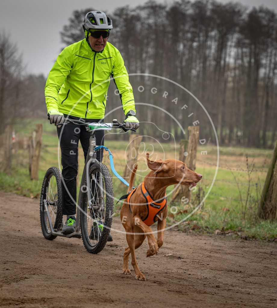 Pfotenfotografie_DV3A2666 | Hundefotografie, Tierfotograf, Pfotenfotografie, Fotoshooting Hund, Hunde Portrait, Hundesport, Hundeportraits, Heideshooting, Hunde, Sportfotograf, Hundefotograf, Turnierhundsport, THS,  - Realisiert mit Pictrs.com