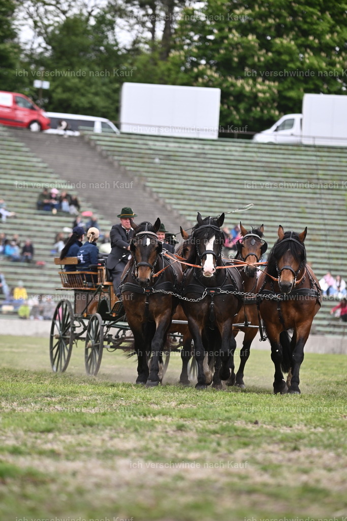 PI26_Show_Sara_Landvogt_226_1366.JPG | working equitationturnier fotograf videograf stoibphotography marixx film working equitation deutschland reitsport turnierfotografie eventfotografie equestrian events