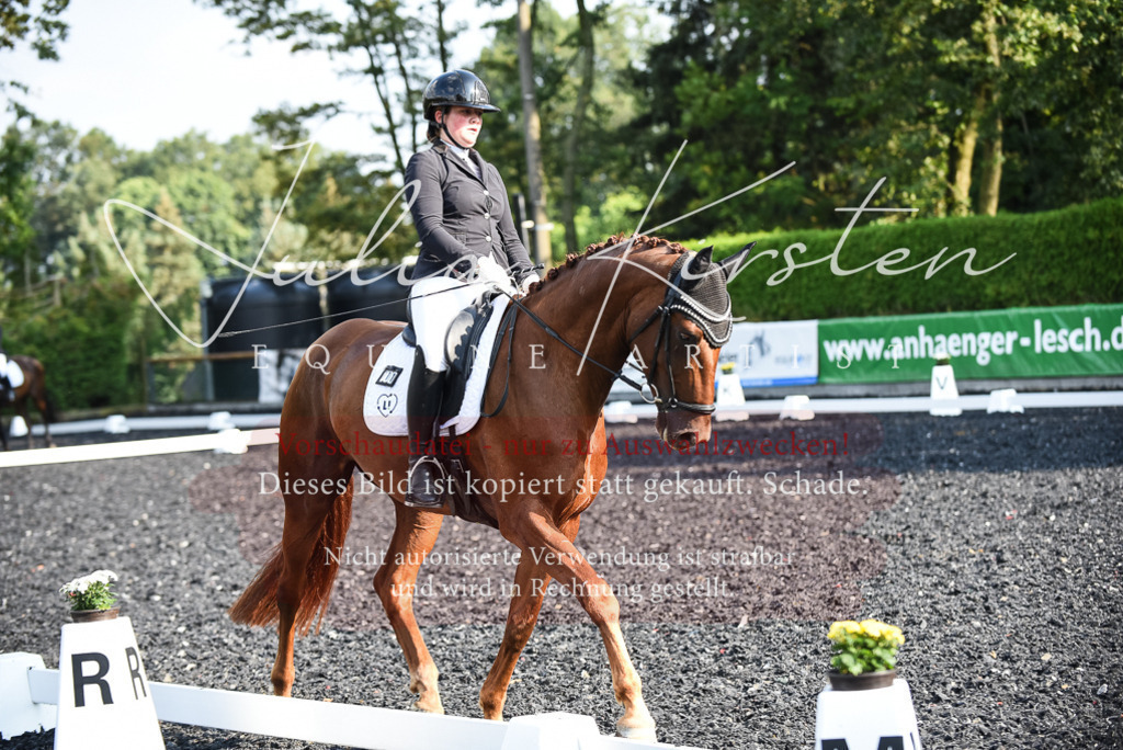 DSC_3264 | Pferde- und Turnierfotografie in Westsachsen. Pferdeportraits, Auftragszeichnungen und intuitive Kunst.