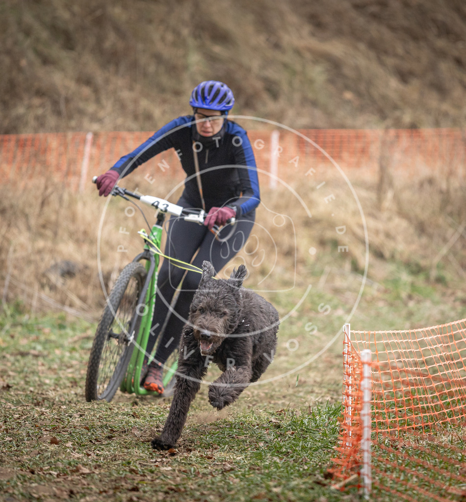 Pfotenfotografie_DV3A6576 | Hundefotografie, Tierfotograf, Pfotenfotografie, Fotoshooting Hund, Hunde Portrait, Hundesport, Hundeportraits, Heideshooting, Hunde, Sportfotograf, Hundefotograf, Turnierhundsport, THS,  - Realisiert mit Pictrs.com
