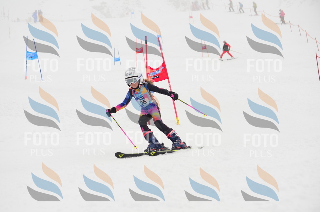 C1337 | holidayphoto