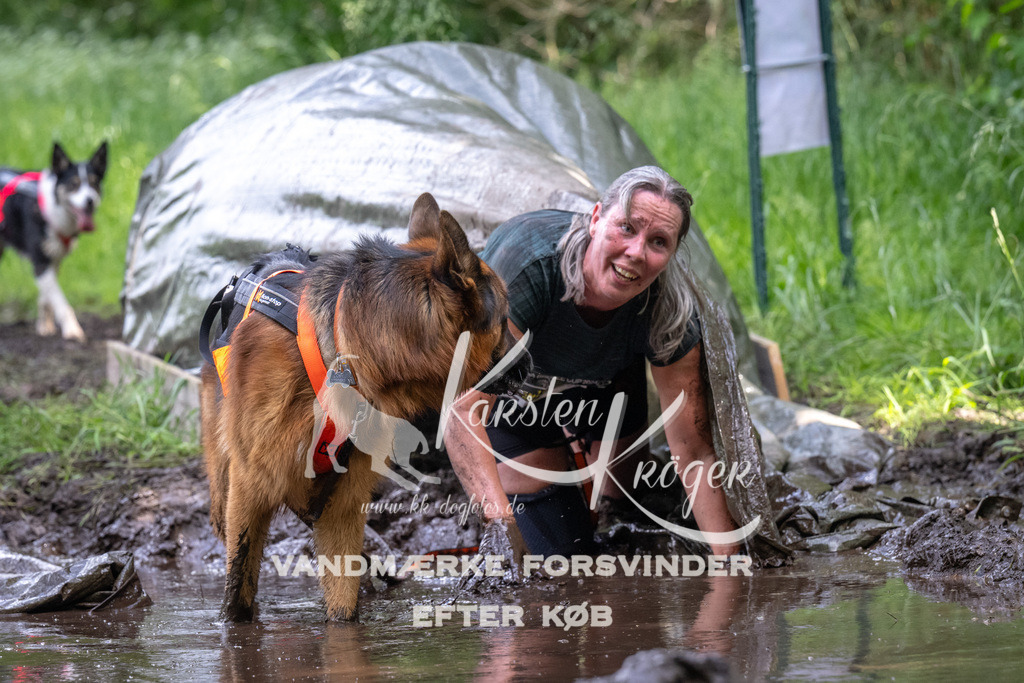 1347_ZZ92249 | kk-dogfotos