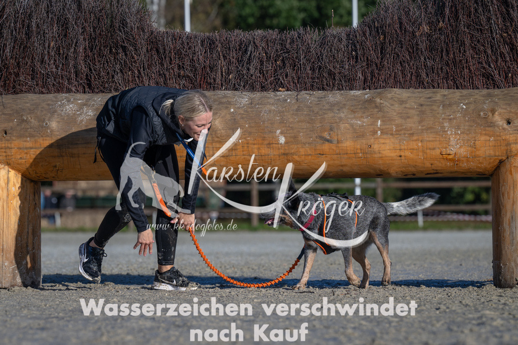 1033-_ZZ91636 | kk-dogfotos