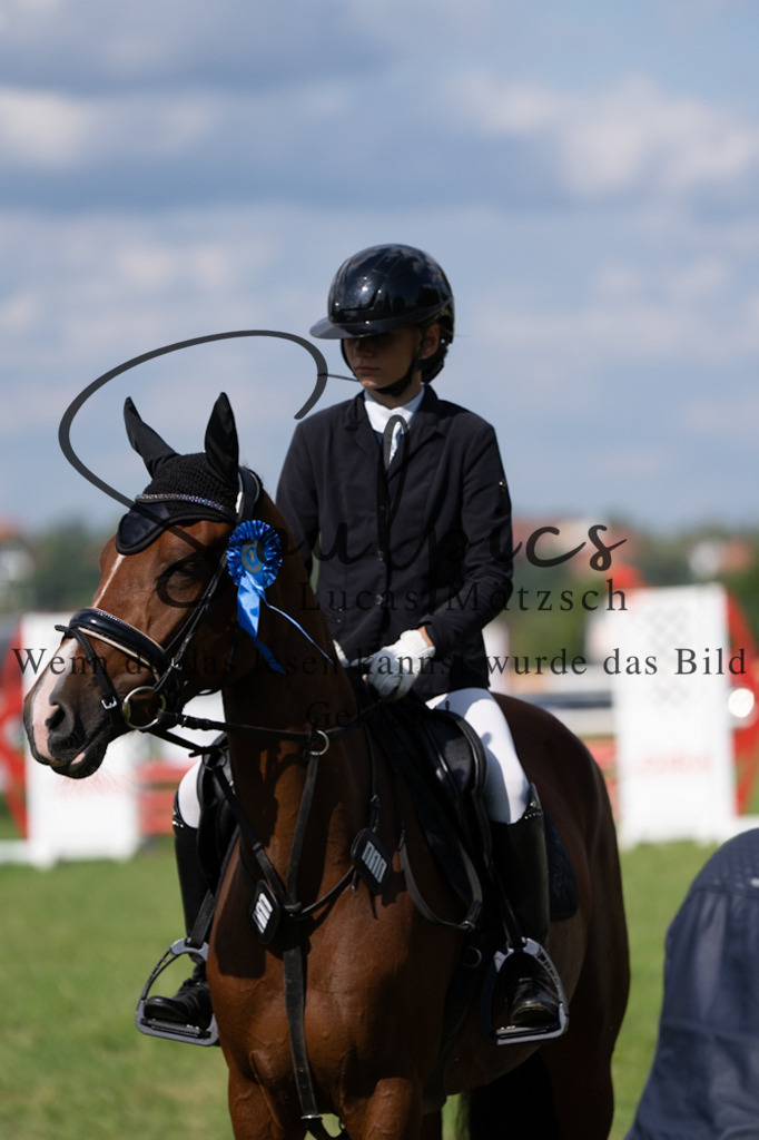 A7V03484 | Pferdefotograf