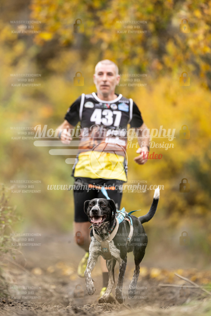 MompixPhotography_ICF_WC_2024_SA_Run_-454 | PayLife