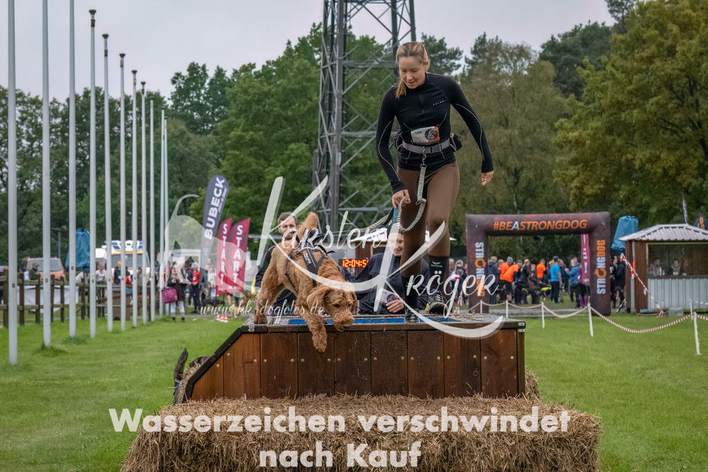 1206--6 | kk-dogfotos