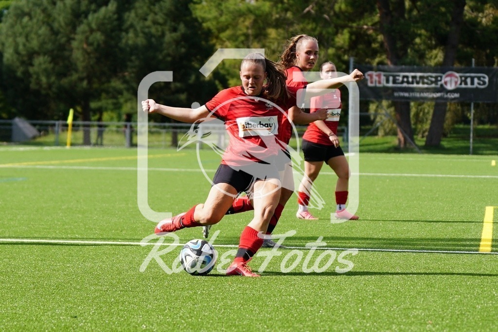 SON09032 | rabefotos