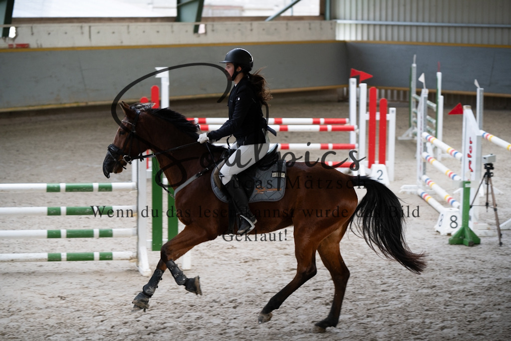 A7V01361 | Pferdefotograf