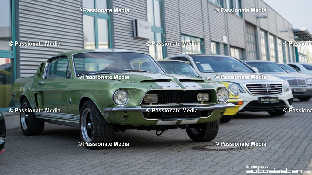 DSC04139 | Passionate Media, dein Fotograf aus Brandenburg, Märkisch Oderland, im Bereich Motorsport, Autos und Motorräder sowie Events und auch Hunde. Shootings oder auch Eventbegleitungen können bei mir gebucht we