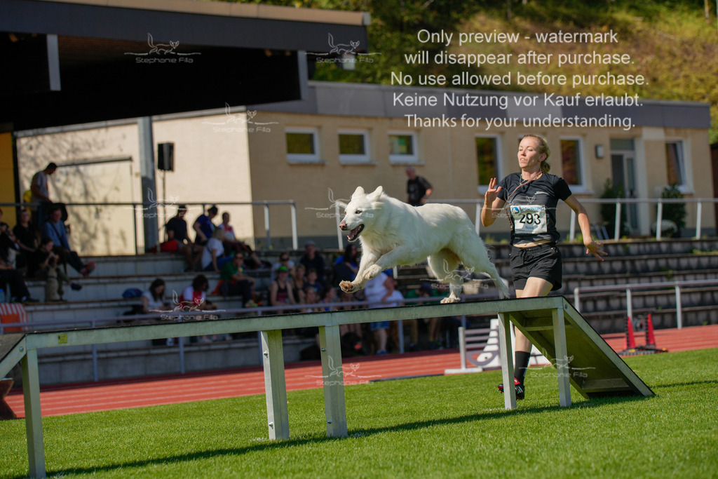 Sonntag_VK Hindernis (622 von 671) | stephaniefillaphotographie - Realisiert mit Pictrs.com