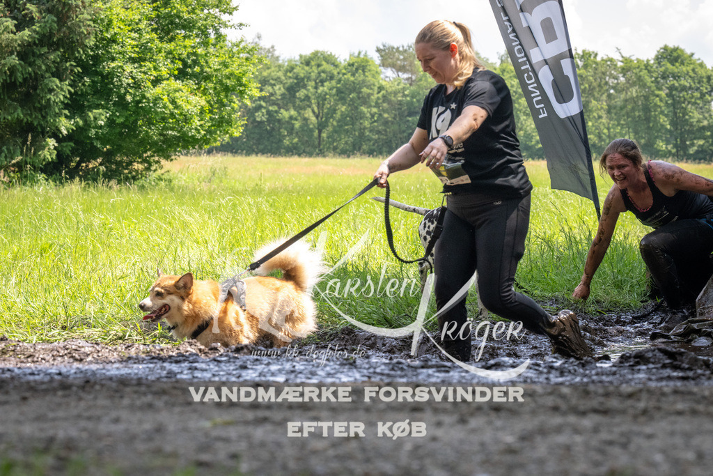 1201_ZZ91021 | kk-dogfotos