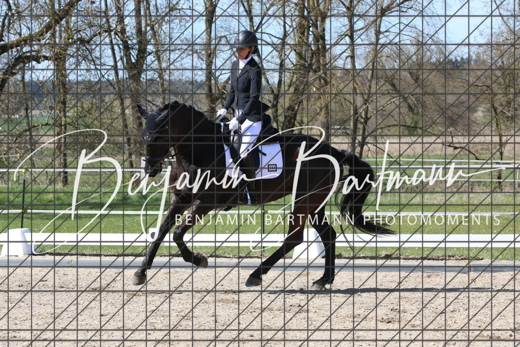 AZ2A4589 | Benjamin Bartmann Photomoments