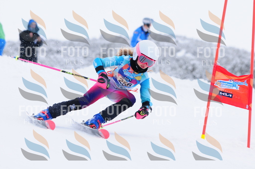 C2695 | holidayphoto