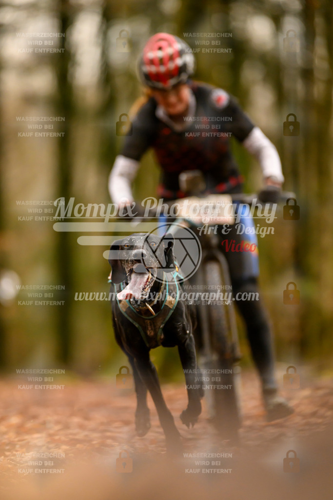 MompixPhotography_Habay2024_SA_Scooter-8 | PayLife