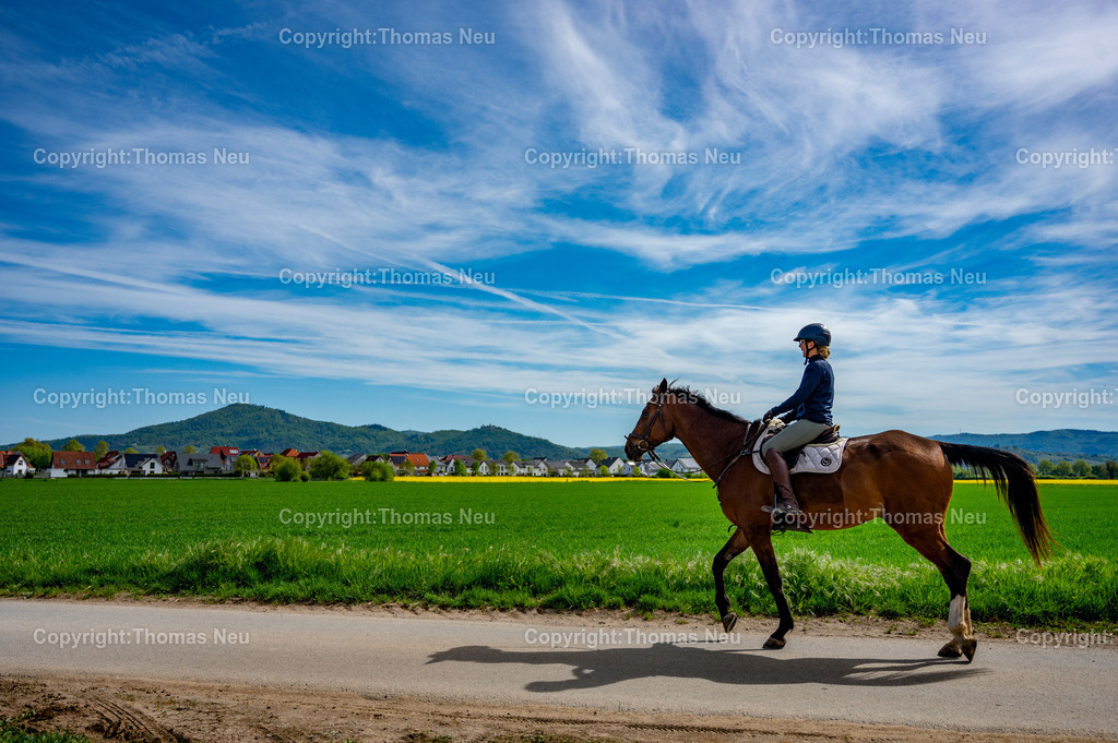 reiterin-pferd-bergstrasse-ausritt-suedhessen-landschaft-Bensheim-Fotografie-Thomas_Neu.jpg-2 | Eine Reiterin auf einem Ausritt vor der Landschaft der Hessischen Bergstraße. Im Vordergrund führt ein Feldweg durch grüne Wiesen, im Hintergrund sind die Hügel des Odenwaldes und eine Ortschaft der Region zu sehen.,Bild: Thomas Neu