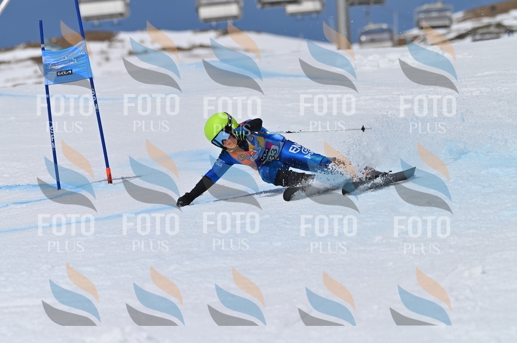 BGV_6601 | holidayphoto