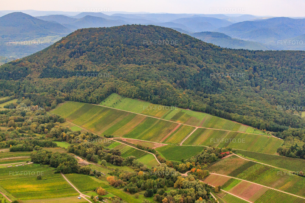 Luftbild: Weinberge unterm Hohenberg in Birkweiler im Bundesland Rheinland-Pfalz in Deutschland. Foto: IMG_60006.jpg vom 08.10.2013 durch Werner Riehm/FLY-FOTO.de