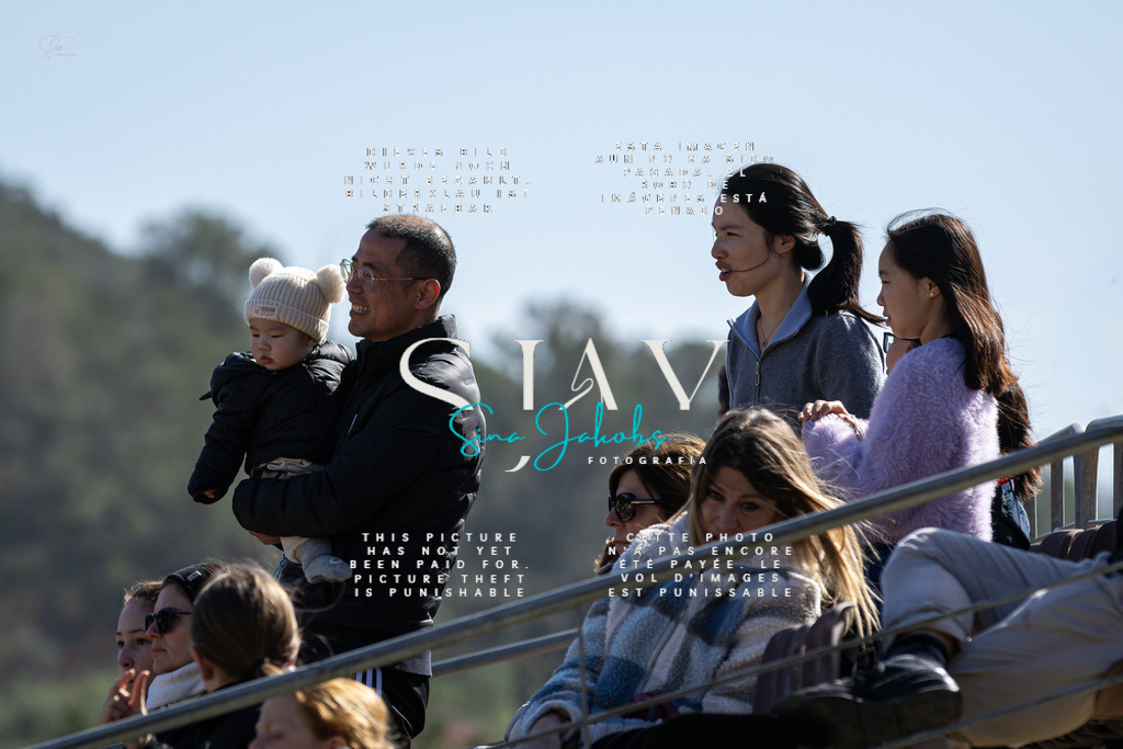 IMG_6234 | s-jay-photography - Realisiert mit Pictrs.com