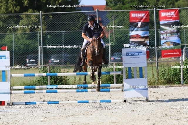 OHT 2022 Röhlingen (112) | Fotografie, Tiere, Hunde, Katzen, Pferde, Sportfotografie, Fotosession, Tierfotografie, Turnierfotografie, Fotografin, Fotograf - Realisiert mit Pictrs.com