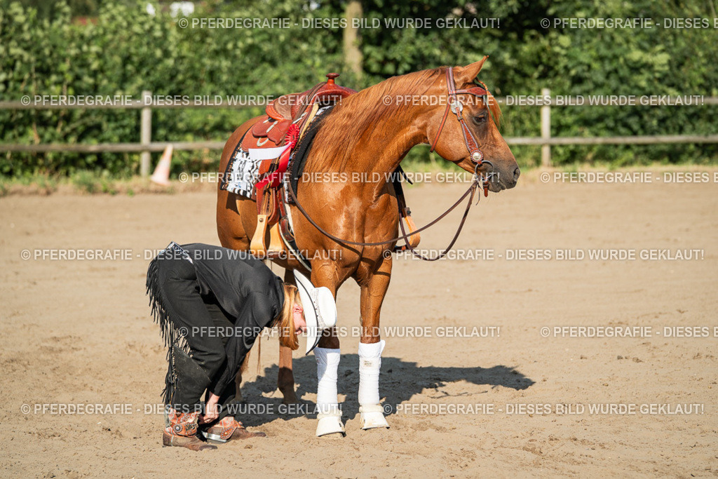 DSC05623 | Pferdegrafie