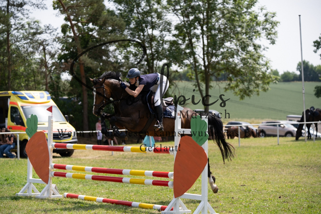 A7V07304 | Pferdefotograf