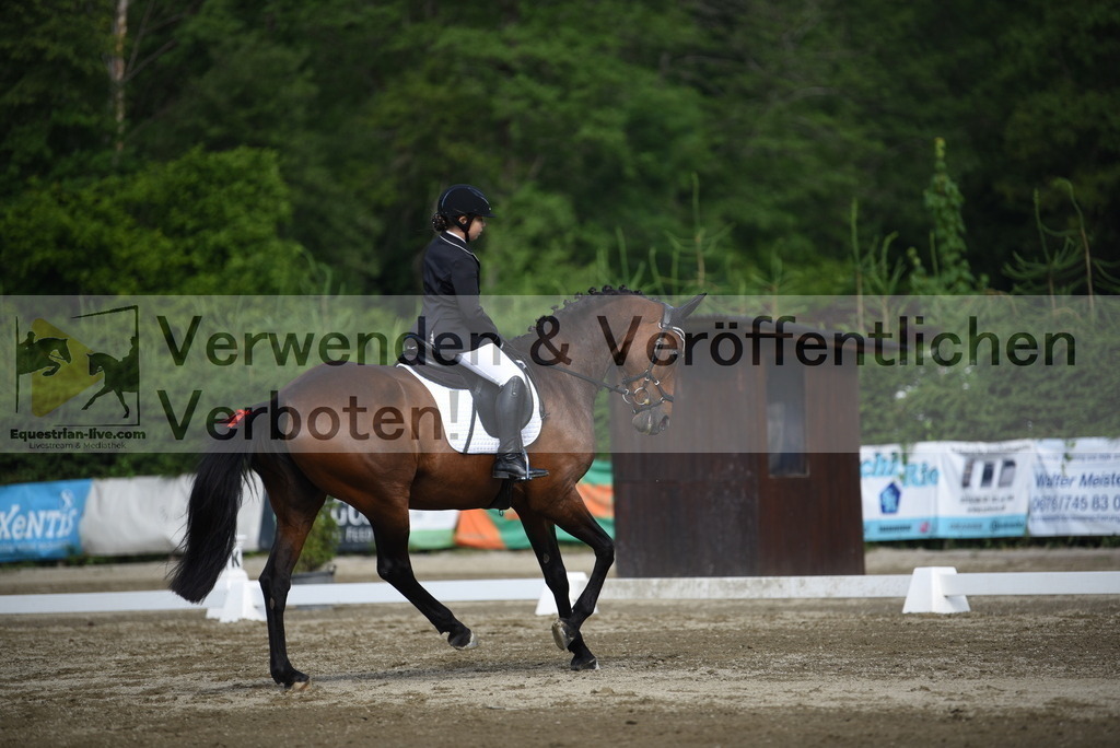 DSC_7636 | equestrian-live-com