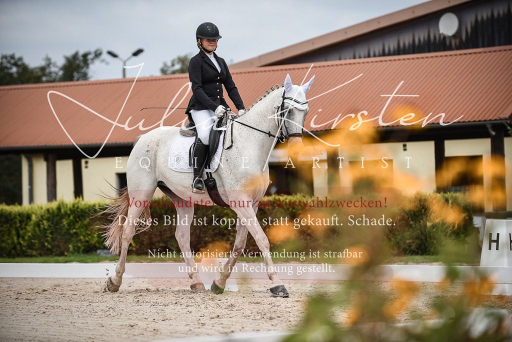 DSC_8497 | Pferde- und Turnierfotografie in Westsachsen. Pferdeportraits, Auftragszeichnungen und intuitive Kunst.