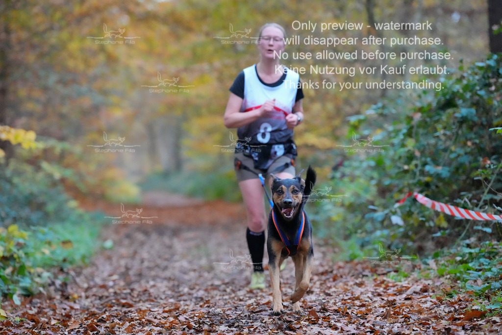 CC_So-43 | stephaniefillaphotographie - Realisiert mit Pictrs.com