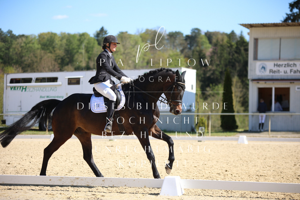 IMGT8130 | pl-fotografie