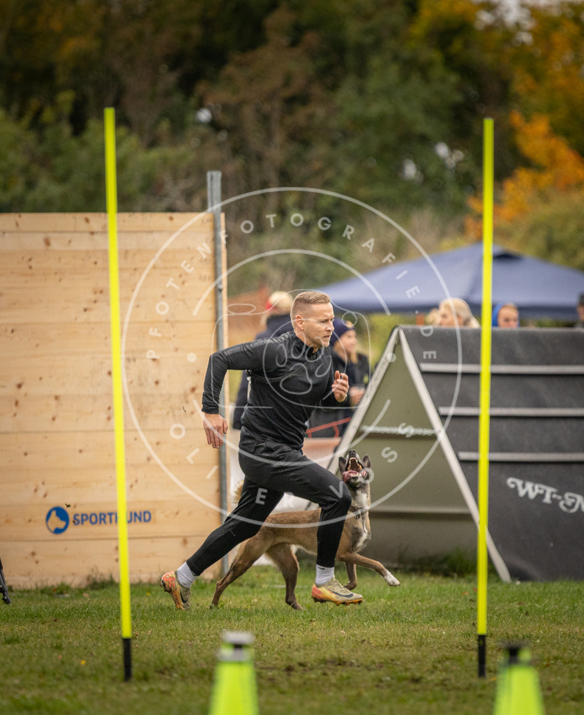 Pfotenfotografie_DV3A7271 | Hundefotografie, Tierfotograf, Pfotenfotografie, Fotoshooting Hund, Hunde Portrait, Hundesport, Hundeportraits, Heideshooting, Hunde, Sportfotograf, Hundefotograf, Turnierhundsport, THS,  - Realisiert mit Pictrs.com