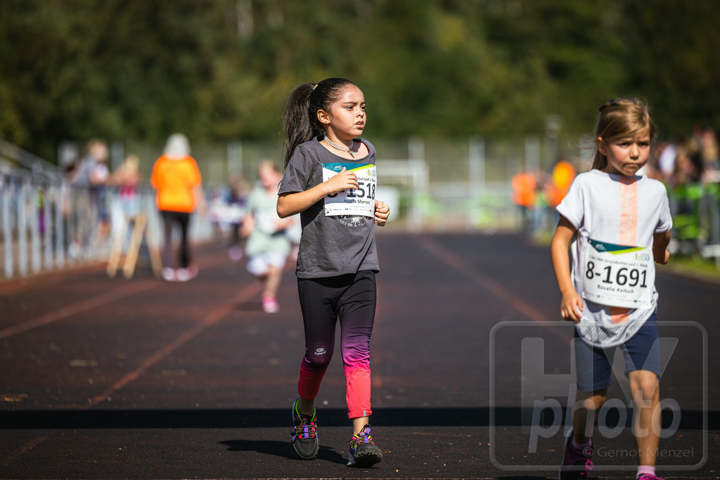 GM_20230916_248670_Canon EOS R5_GMHY6523_RAW_s3900 | Webshop der Firma HY-photo, bietet Fotos und Fotoprodukte vorrangig mit Motiven aus Hoyerswerda und Umgebung, aber auch weltweit. Fotograf: Gernot Menzel - Realisiert mit Pictrs.com