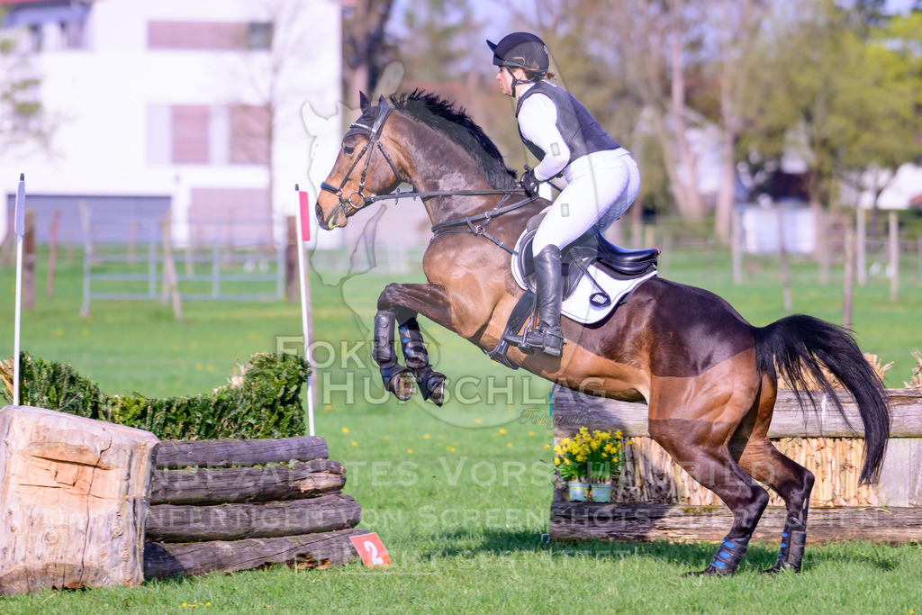 18042026-Gernlinden-02-0441 | Fokus Hufschlag Fotografie - Realisiert mit Pictrs.com