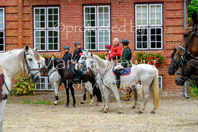Jagd Knoop 26_MarinaHewigDSCF8685 | Fotografie, FotoArt, PferdesportArt, Pferdesportfotografie, Landschaftsfotografie, Reisefotografie, Reise, Pferde - Realisiert mit Pictrs.com