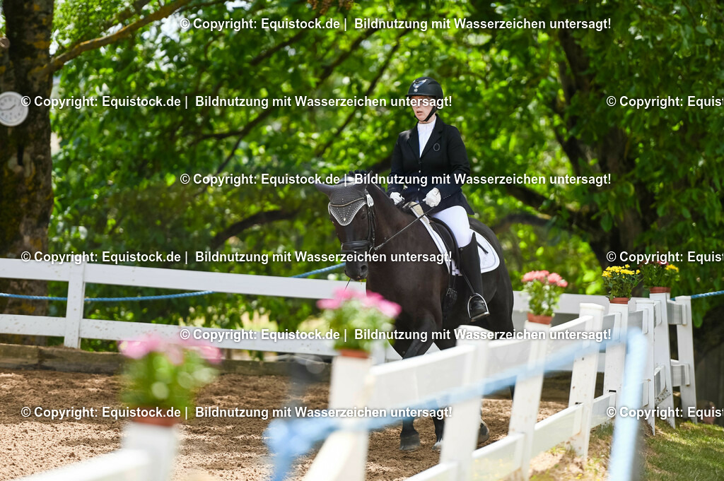 20230716_03_Dressurprfg. Kl.L - Tr._0187 | equistock