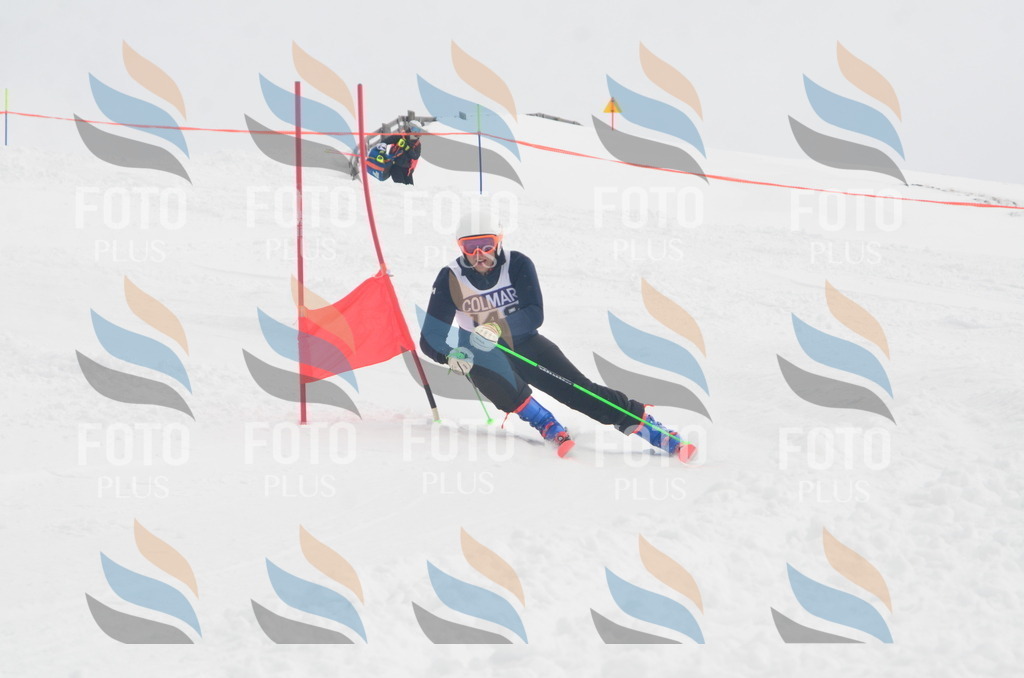 A6233 | holidayphoto