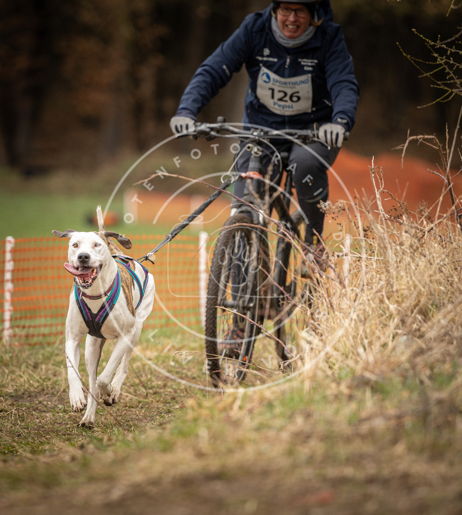 DV3A1665 | Hundefotografie, Tierfotograf, Pfotenfotografie, Fotoshooting Hund, Hunde Portrait, Hundesport, Hundeportraits, Heideshooting, Hunde, Sportfotograf, Hundefotograf, Turnierhundsport, THS,  - Realisiert mit Pictrs.com