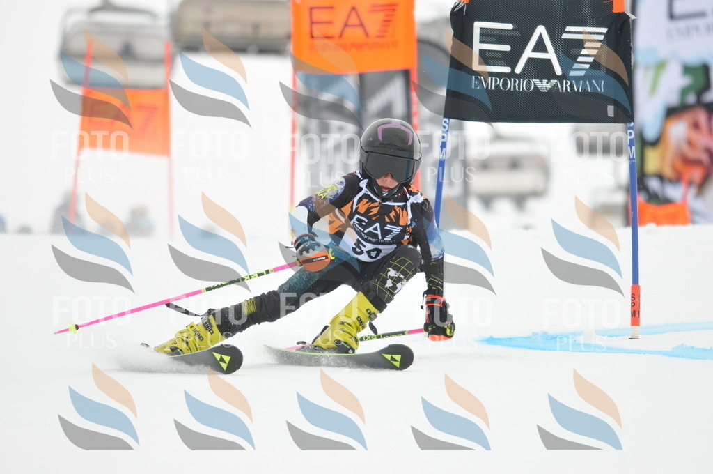 DSC_7708 | holidayphoto