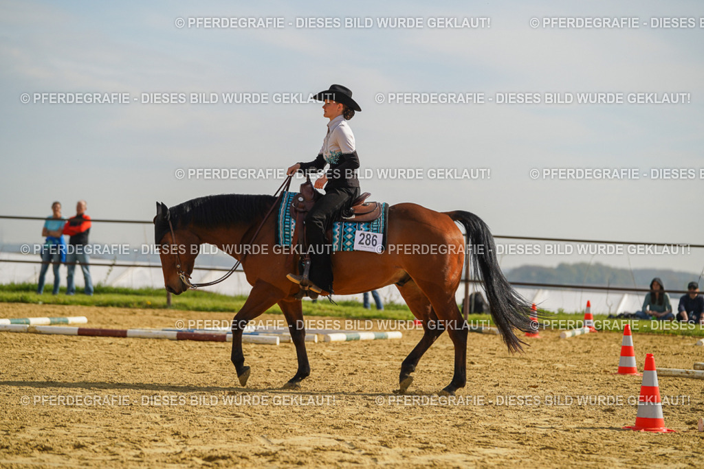 DSC01275 | Pferdegrafie