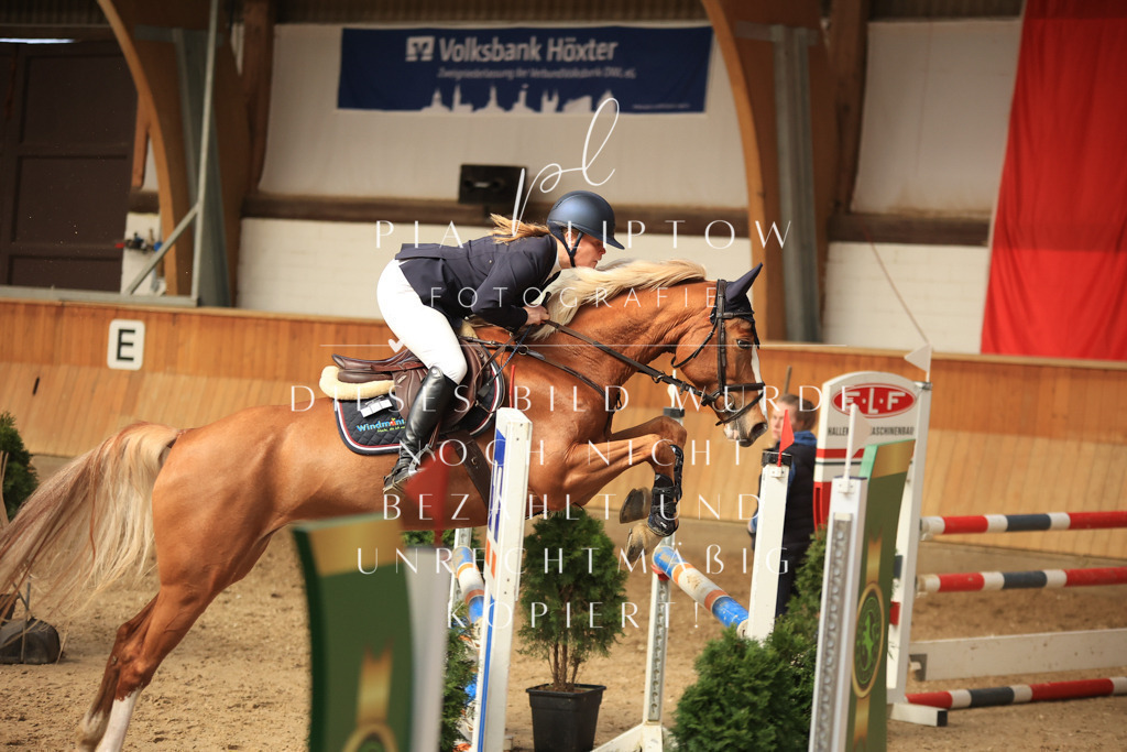 IMGT1222 | pl-fotografie