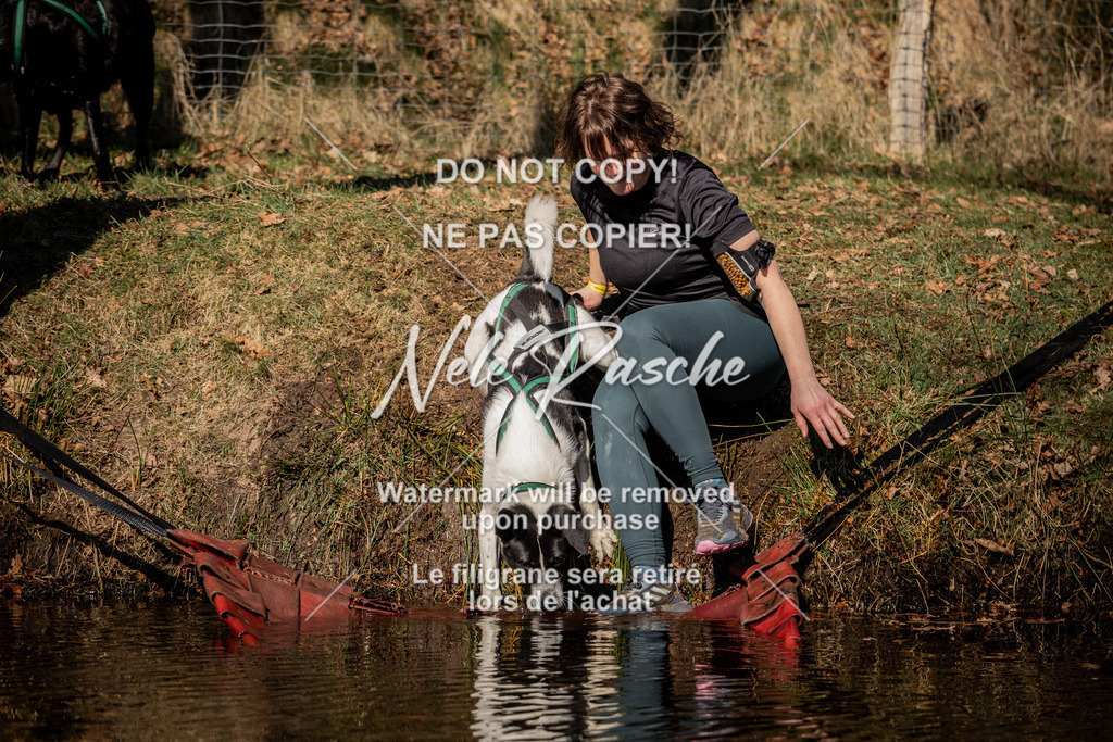 nelerasche_FS1100-1145_324 | nelerasche