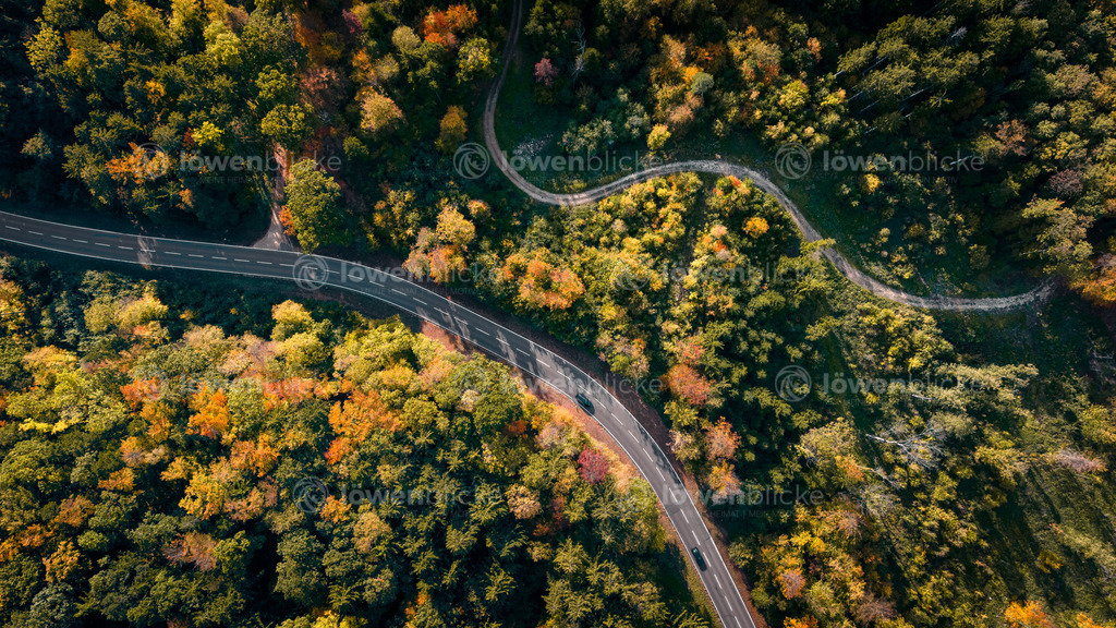 Hauptstraße zum Hohenstaufen im Herbst | löwenblicke | shop