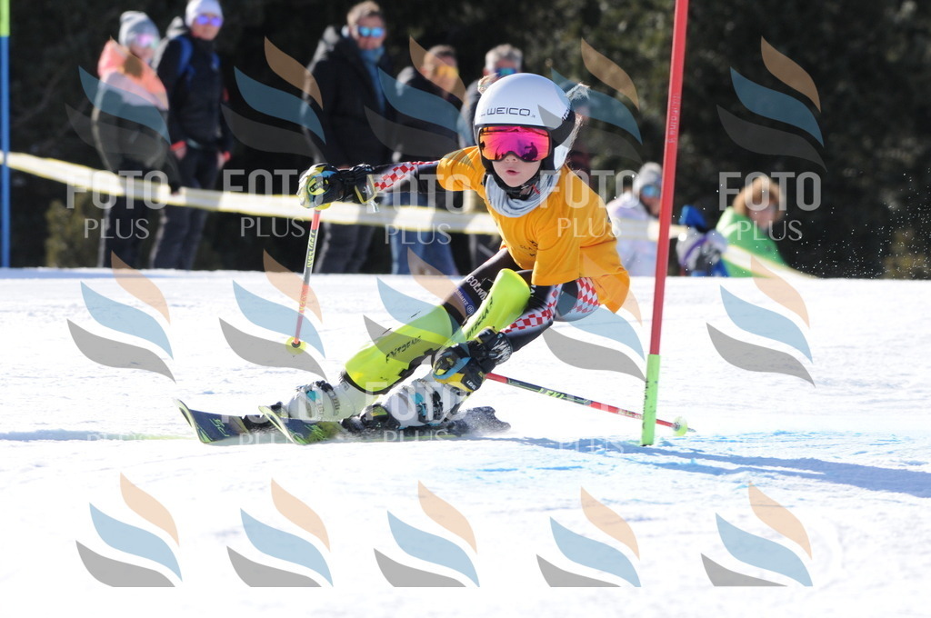 C7025 | holidayphoto