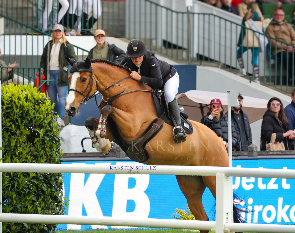 1B3A4699 | Reitsport Reiten